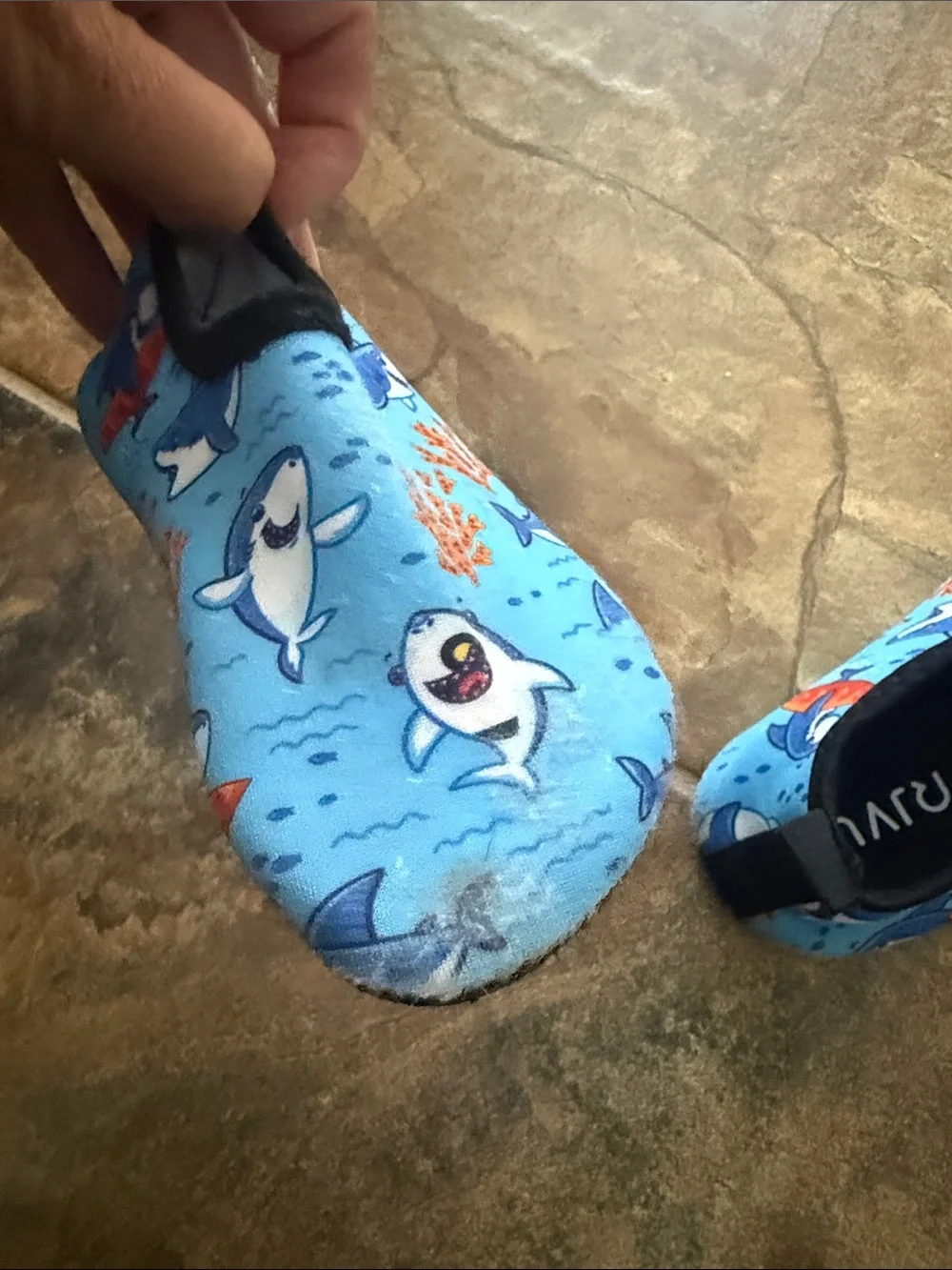 Mavi Kids Blue & Green Sea Creature Water Shoes - Trio Pack